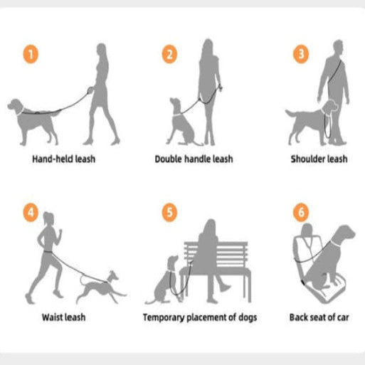 ✨ 6-in-1 Dog Multipurpose Leash ☀️ Sunny Strolls Delight✨