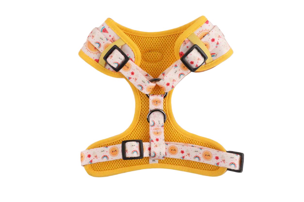 Luxury Mesh Harness βοΈ Sunny Strolls Delight