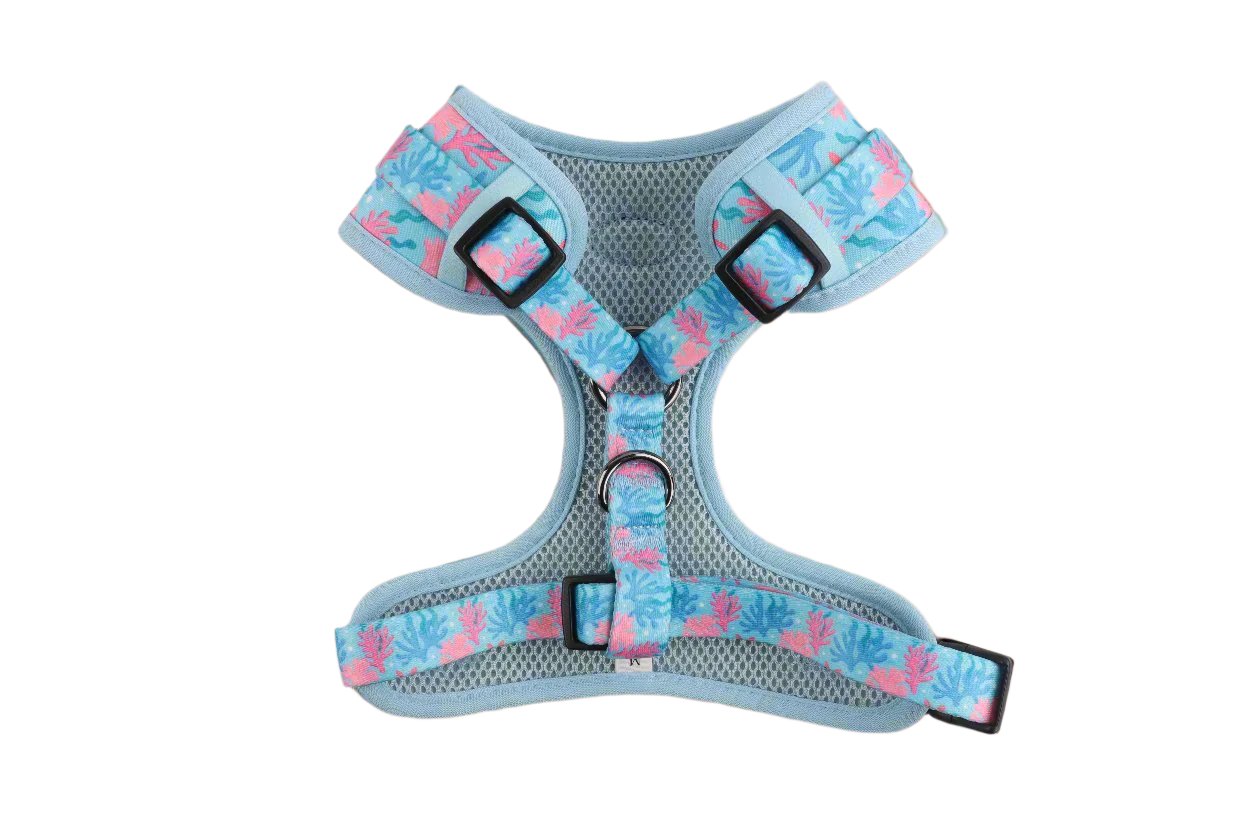 Luxury Mesh Harness π Coral Reef Explorer