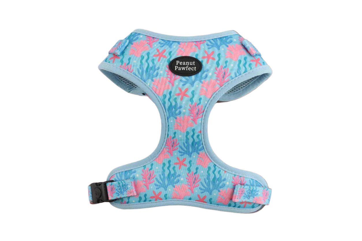 Luxury Mesh Ultimate Matching Set: ๐ Coral Reef Explorer