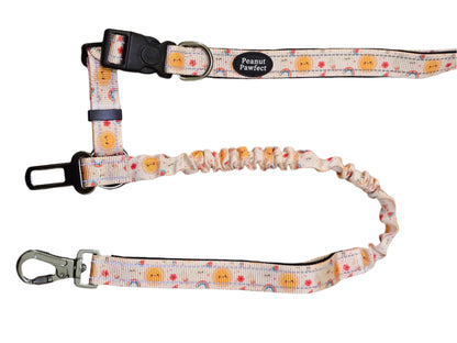 ✨ 6-in-1 Dog Multipurpose Leash ☀️ Sunny Strolls Delight✨