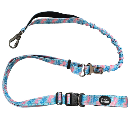 ✨ 6-in-1 Dog Multipurpose Leash 🌊 Coral Reef Explorer ✨