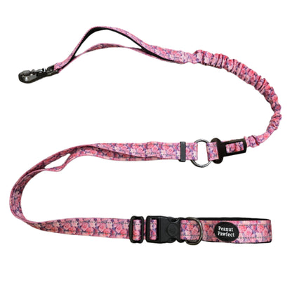 ✨ 6-in-1 Dog Multipurpose Leash 🌺Rose Garden Bliss✨